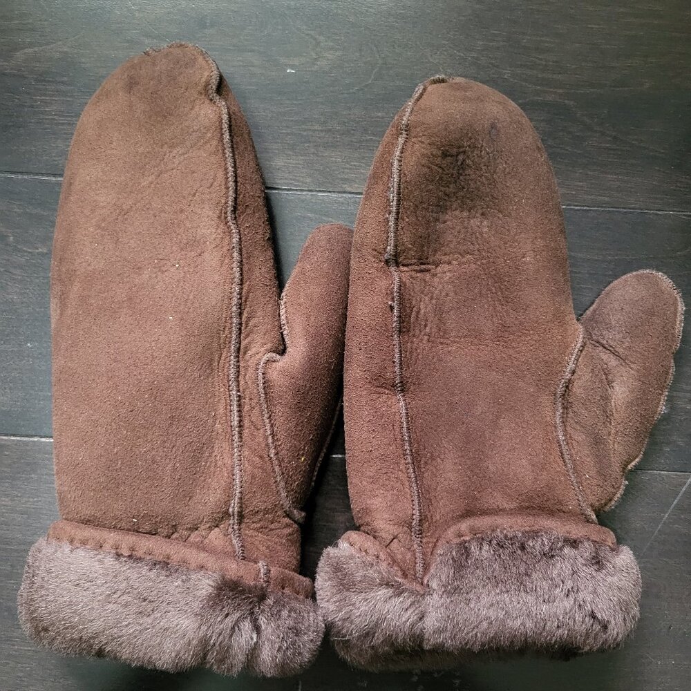 Brown Winter Mittens